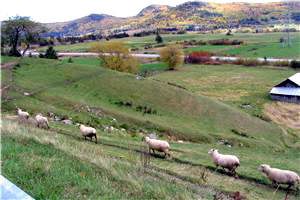 Bergerie de LA-RÉ-MI Maison de tourisme à louer Baie-St-Paul en Charlevoix